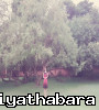 mashahope mashahope