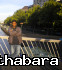 Ajith123