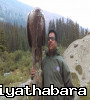 Indika788 Indika788