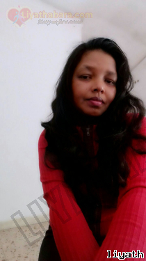Amali24