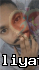 Chamod99