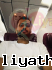 Gihanm