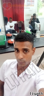Araleya