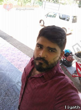 Shenusha8461