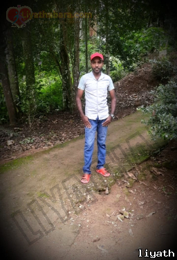 Taridu