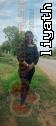 Araliya89