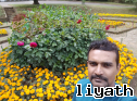 Vindika