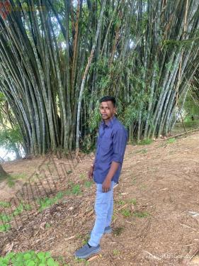 Vijikaran