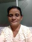 Dammi65